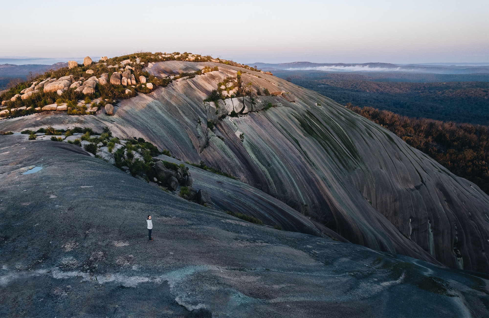 Bald Rock National Park NSW National Parks