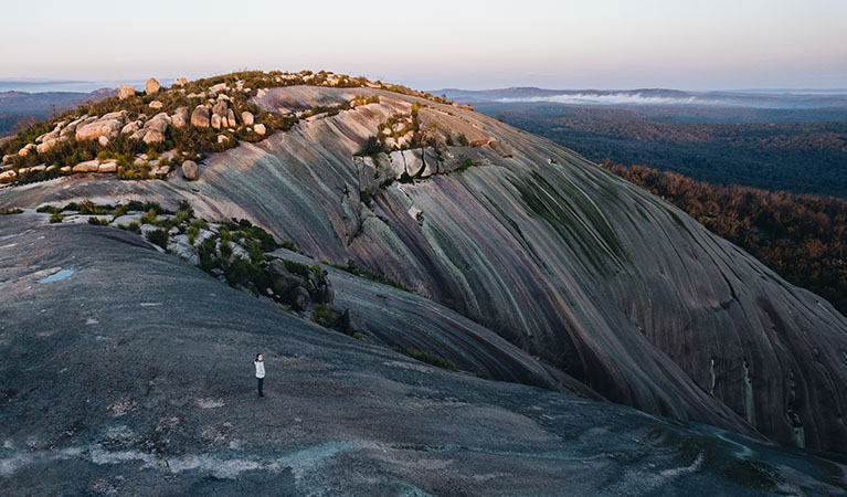Bald Rock Summit walking track, Bald Rock National Park. Photo credit: Harrison Candlin © Harrison Candlin