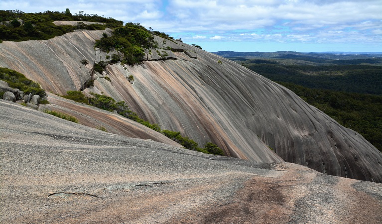 Bald Rock Summit, Bald Rock National Park. Photo: Ann Richards/OEH