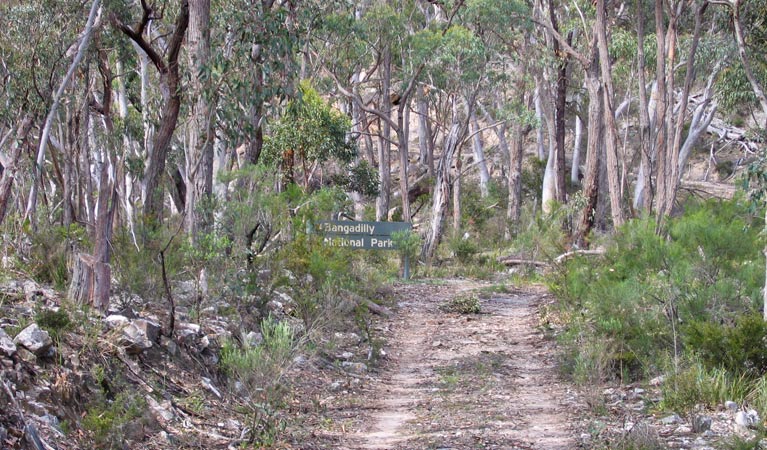 Mount Penang Loop walk, Bangadilly National Park. Photo: Phil Craven