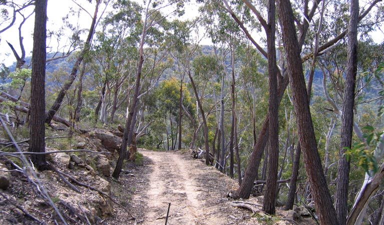 Mount Penang loop walk, Guula Ngurra National Park. Photo: Phil Craven