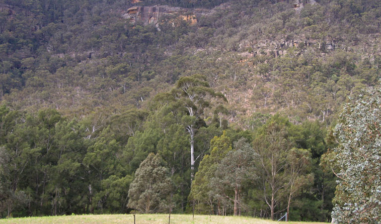 Bangadilly National Park. Photo: Phil Craven