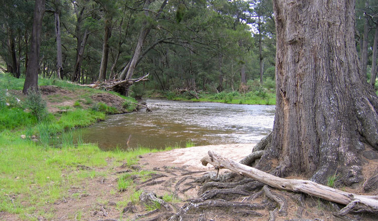 Bangadilly National Park. Photo: Phil Craven