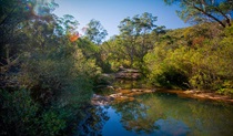 Bargo State Conservation Area. Photo: Nick Cubbin &copy; DPIE