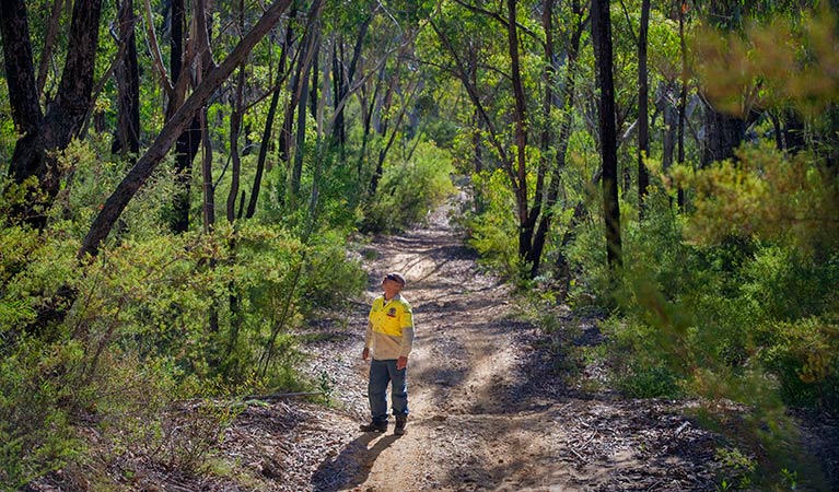 Bargo State Conservation Area. Photo: Nick Cubbin &copy; DPIE