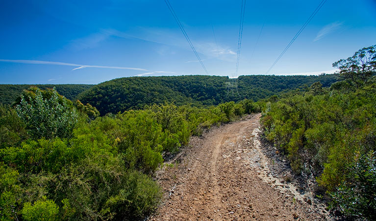 Bargo State Conservation Area. Photo: Nick Cubbin &copy; DPIE