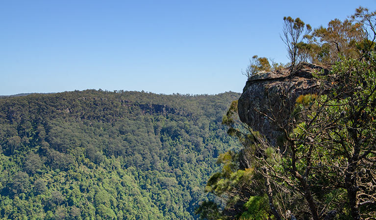 Cooks Nose lookout walk, Barren Grounds Nature Reserve. Photo: John Spencer &copy; OEH