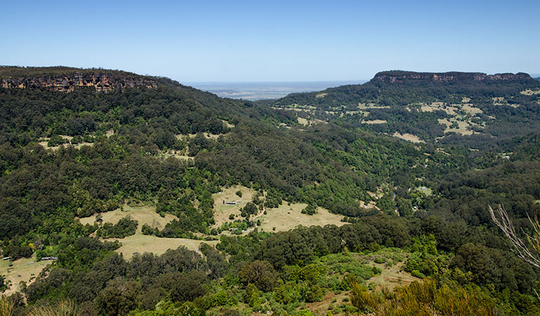 Cooks Nose lookout walk, Barren Grounds Nature Reserve. Photo: John Spencer &copy; OEH