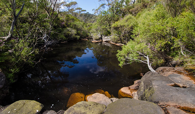 Stone Bridge, Griffiths trail, Barren Grounds Nature Reserve. Photo: John Spencer