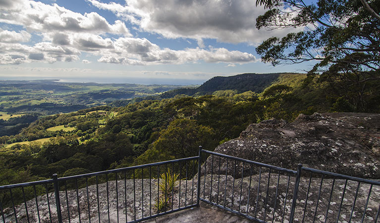 Illawarra lookout walk, Barren Grounds Nature Reserve. Photo: John Spencer