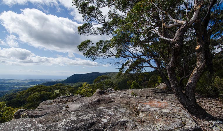 Illawarra lookout walk, Barren Grounds Nature Reserve. Photo: John Spencer