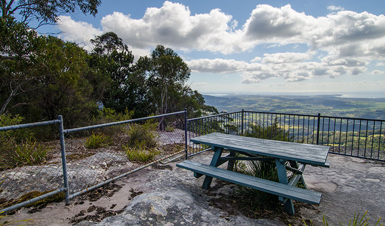 Illawarra lookout walk, Barren Grounds Nature Reserve. Photo: John Spencer