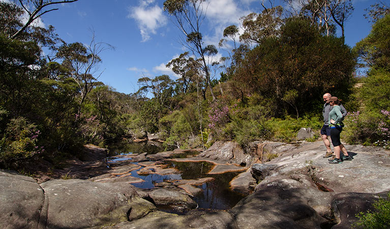 Stone Bridge, Barren Grounds Nature Reserve. Photo: John Spencer/NSW Government