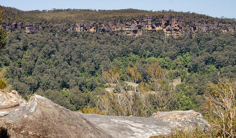 Cooks Nose lookout walk, Barren Grounds Nature Reserve. Photo: John Spencer/NSW Government