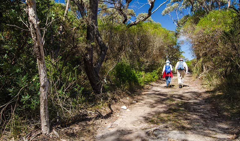 Barren Grounds Nature Reserve, Griffths trail. Photo: John Spencer/NSW Government