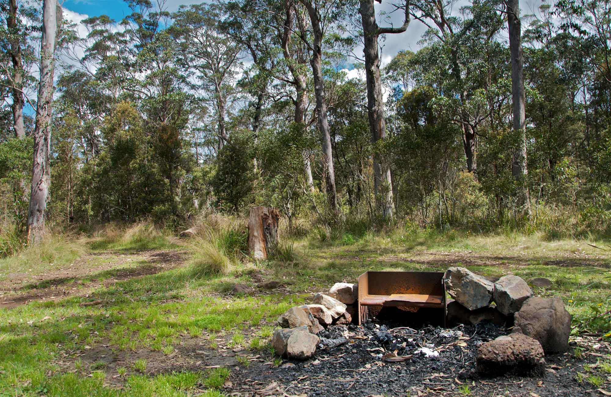 Devils Hole campground, Barrington Tops State Conservation Area. Photo: John Spencer/NSW Government