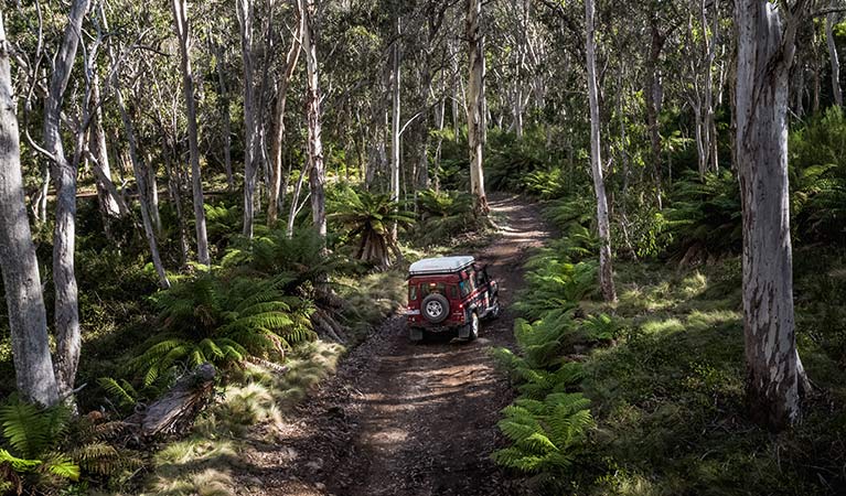 A 4WD vehicle on Barrington trail, Barrington National Park. Photo: Robert Mulally/OEH.