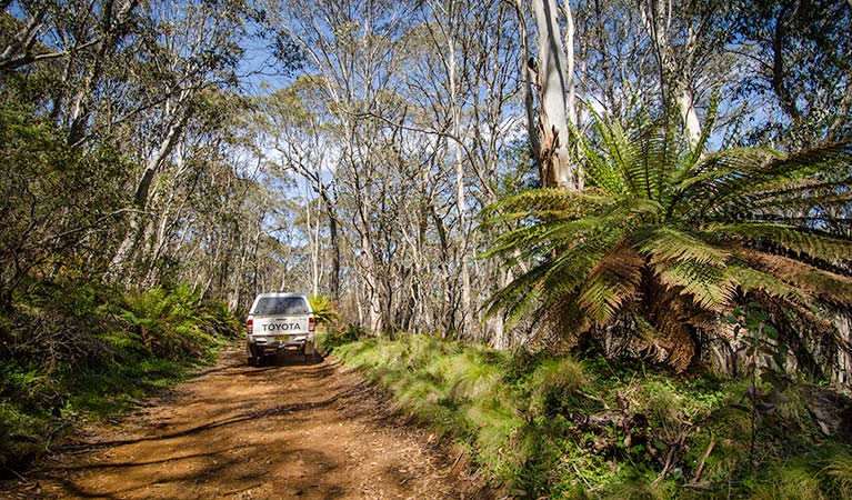 A vehicle on the Barrington trail. Photo: John Spencer/OEH