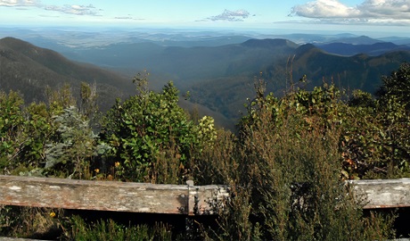 Careys Peak lookout, Barrington Tops National Park. Photo: Peter Beard &copy; Peter Beard/DCCEEW 