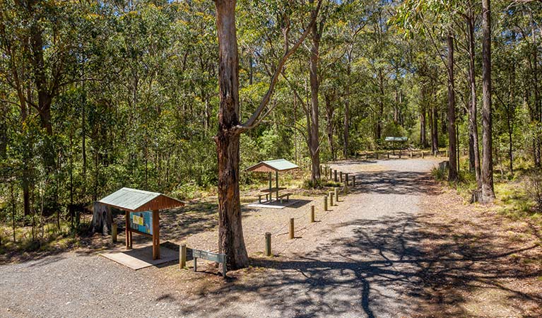 The road to Cobark Park picnic area with signage and a covered picnic table on the left in Barrington Tops National Park. Photo: John Spencer &copy; DPIE