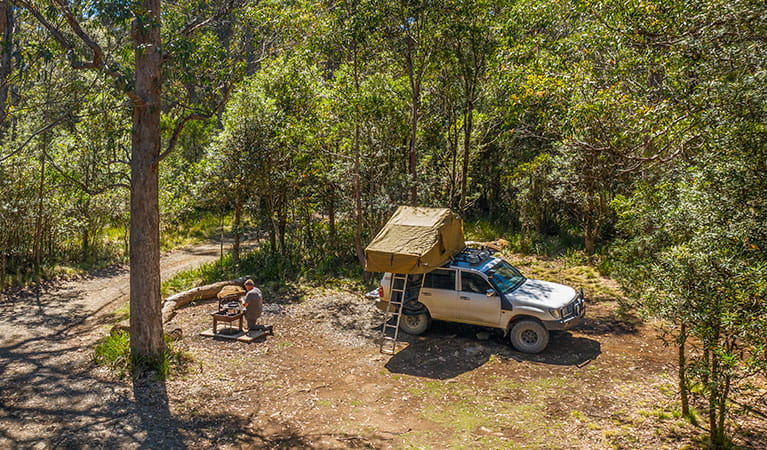 A man cooking at a fire pit next to his vehicle at Devils Hole campground in Barrington Tops State Conservation Area. Photo: John Spencer/DPIE