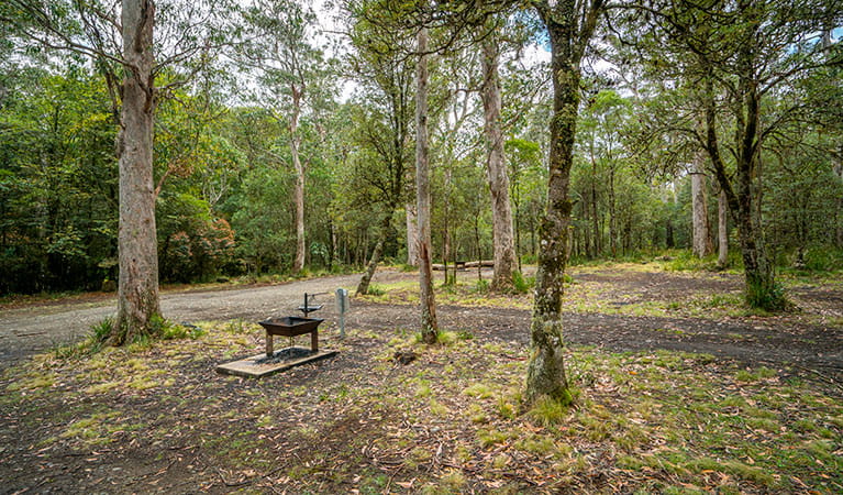 A fire pit at Devils Hole campground in Barrington Tops State Conservation Area. Photo: John Spencer/DPIE
