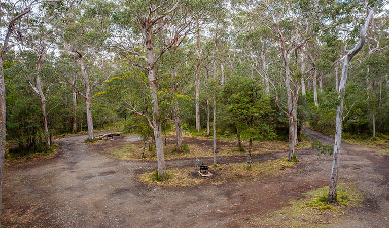 Low aerial view of Devils Hole campground in Barrington Tops State Conservation Area. Photo: John Spencer/DPIE