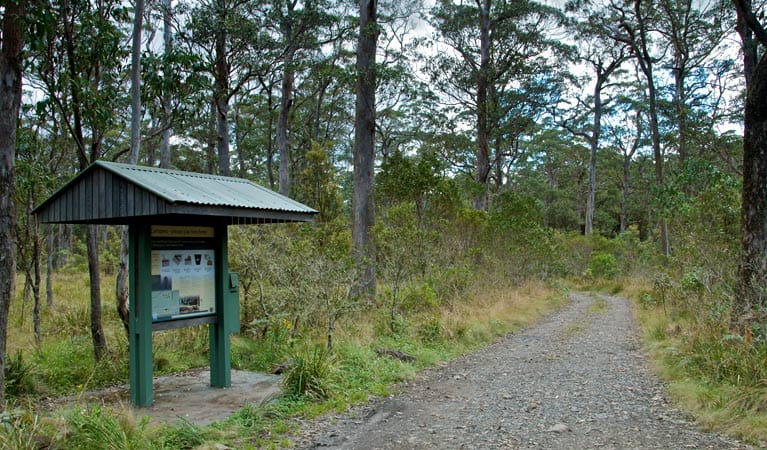 Signage at Devils Hole campground, Barrington Tops State Conservation Area. Photo: John Spencer/NSW Government