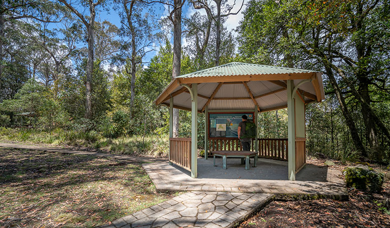 A man standing under a pavilion, looking at a map of Devils Hole in Barrington Tops National Park. Photo: John Spencer &copy; OEH