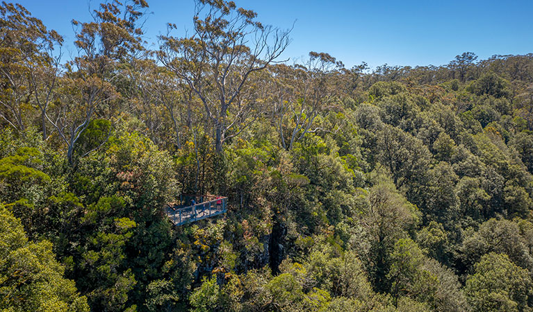 Devils Hole lookout platform, surrounded by woodland in Barrington Tops National Park. Photo: John Spencer &copy; OEH