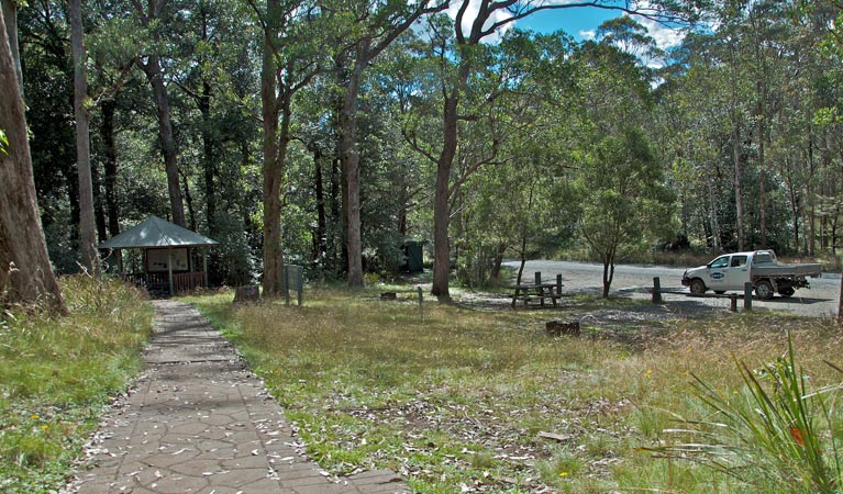 Devils Hole lookout walk, Barrington Tops National Park. Photo: John Spencer