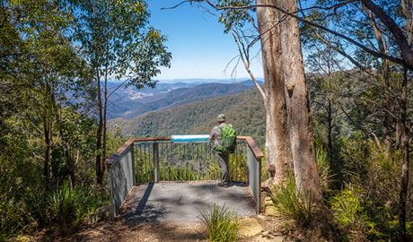 A man on a lookout platform on Gloucester Falls walking track in Barrington Tops National Park. Photo: John Spencer &copy; OEH
