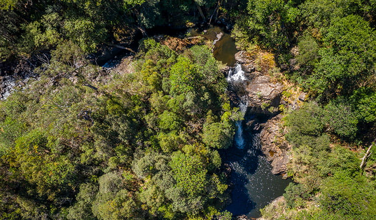 Aerial view of Gloucester Falls walking track in Barrington Tops National Park. Photo: John Spencer &copy; OEH