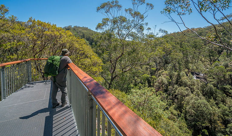 A man at a lookout taking in the view of Barrington Tops National Park from Gloucester Falls walking track. Photo: John Spencer &copy; OEH