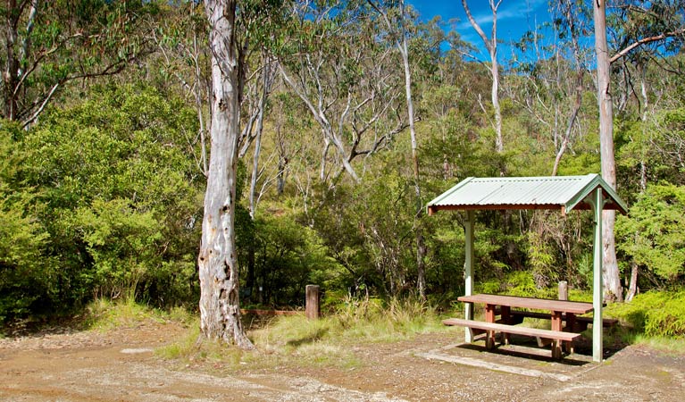 Gloucester Tops picnic area, Barrington Tops National Park. Photo: John Spencer