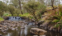 Gummi Falls campground, Barrington Tops State Conservation Area. Photo: John Spencer/NSW Government