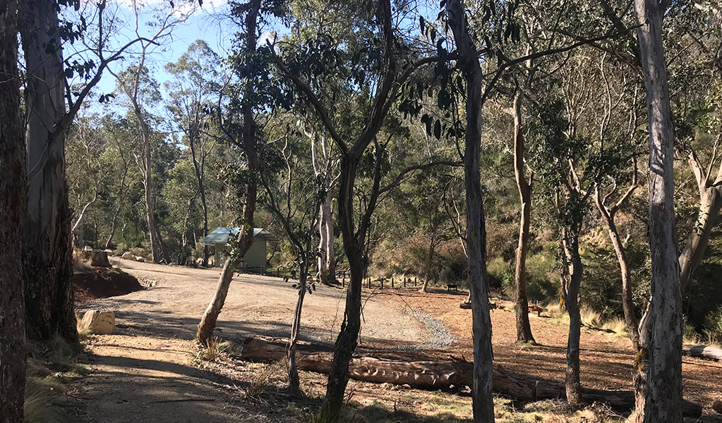 A gravel road surrounded by trees leading to Gummi Falls campground, Barrington Tops State Conservation Area. Credit: Richard Bjork &copy; DPE