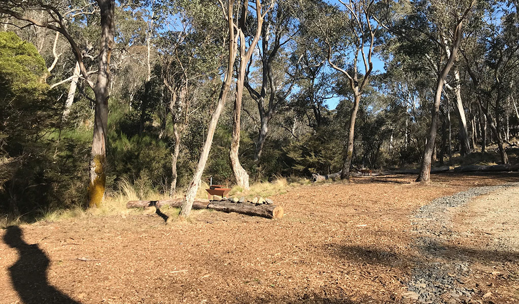 A clearing for a campsite with a small fire pit in Gummi Falls campground, Barrington Tops State Conservation Area. Credit: Richard Bjork &copy; DPE