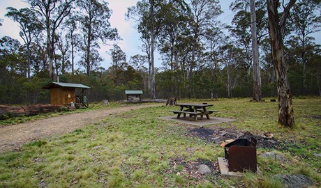 Horse Swamp campground, Barrington Tops State Conservation Area. Photo: John Spencer/NSW Government