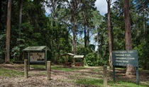 Jerusalem Creek picnic area, Barrington Tops National Park. Photo:John Spencer