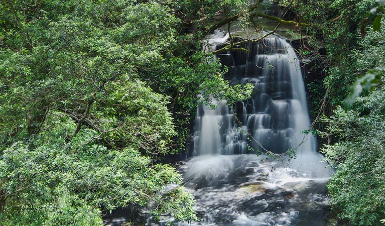 Jerusalem Creek picnic area, Barrington Tops National Park. Photo:John Spencer