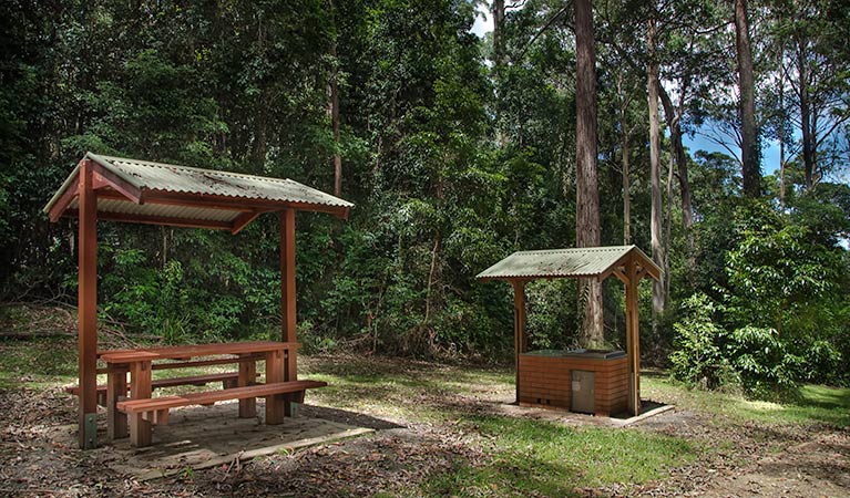 Jerusalem Creek picnic area, Barrington Tops National Park. Photo:John Spencer