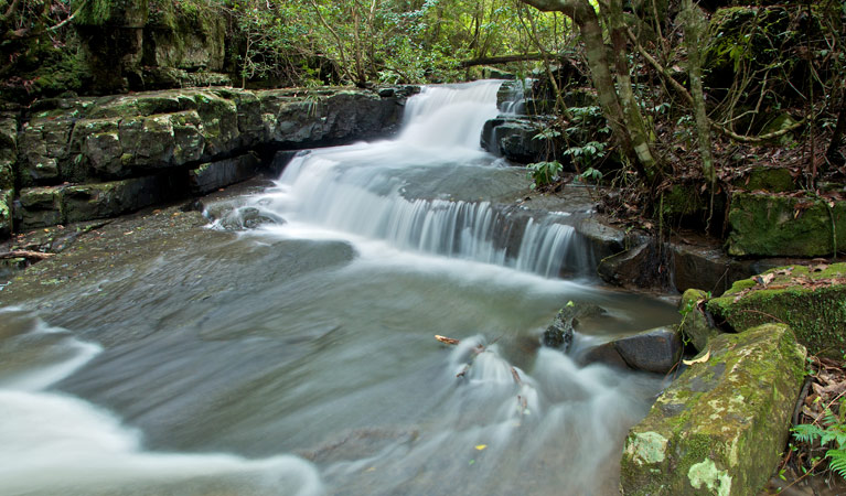 Jerusalem Creek trail, Barrington Tops National Park. Photo: John Spencer &copy; OEH