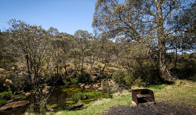 Junction Pools campground, Barrington Tops National Park. Photo: John Spencer/NSW Government