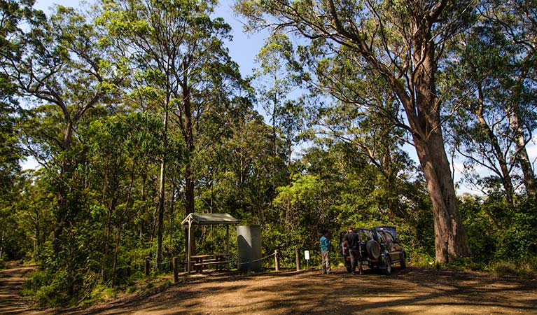 Lagoon Pinch picnic area, Barrington Tops National Park. Photo: John Spencer/NSW Government