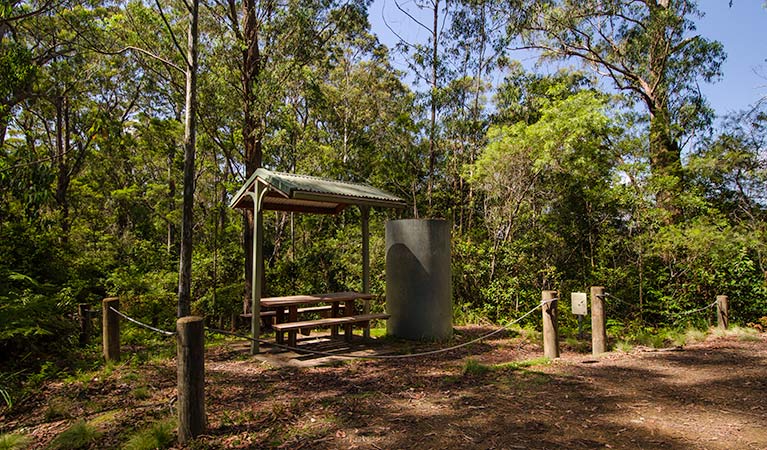 Lagoon Pinch picnic area, Barrington Tops National Park. Photo: John Spencer/NSW Government