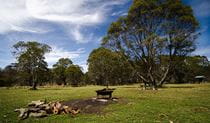 Little Murray campground, Barrington Tops National Park. Photo: John Spencer/NSW Government