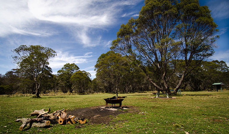Little Murray campground, Barrington Tops National Park. Photo: John Spencer/NSW Government