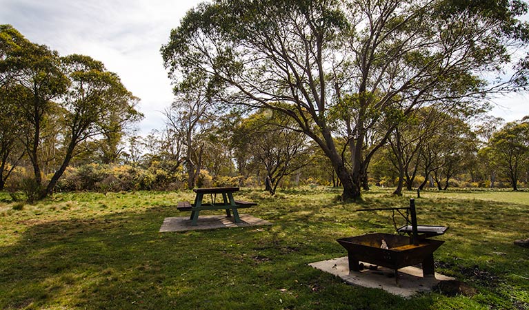 Little Murray campground, Barrington Tops National Park. Photo: John Spencer/NSW Government