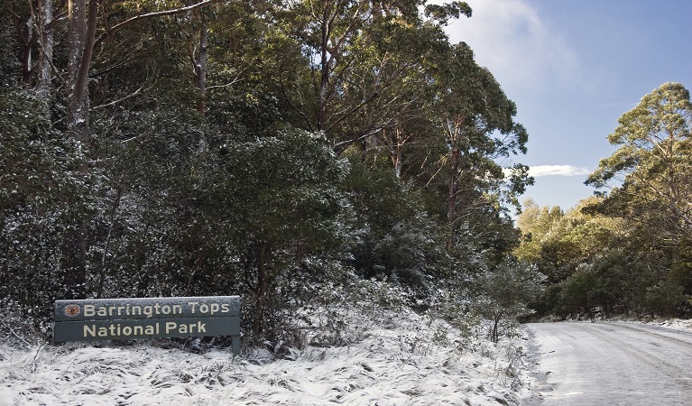 Barrington Tops Forest Road. Photo: Shane Ruming/OEH